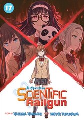 Certain Scientific Railgun Vol. 17 цена и информация | Фантастика, фэнтези | pigu.lt