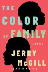 Color of Family: A Novel kaina ir informacija | Fantastinės, mistinės knygos | pigu.lt