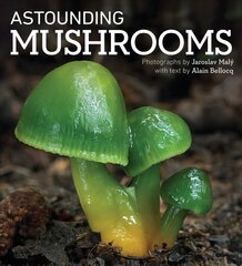 Astounding Mushrooms kaina ir informacija | Knygos apie sveiką gyvenseną ir mitybą | pigu.lt