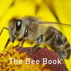 Bee Book kaina ir informacija | Enciklopedijos ir žinynai | pigu.lt