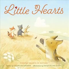 Little Hearts: Finding Hearts in Nature цена и информация | Книги для подростков  | pigu.lt