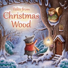 Tales from Christmas Wood New edition цена и информация | Книги для самых маленьких | pigu.lt