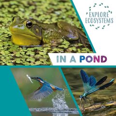 Explore Ecosystems: In a Pond Illustrated edition kaina ir informacija | Knygos paaugliams ir jaunimui | pigu.lt