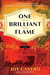 One Brilliant Flame: A Novel kaina ir informacija | Fantastinės, mistinės knygos | pigu.lt