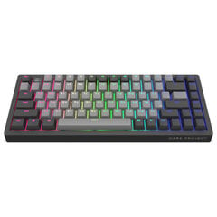 Клавиатура Dark Project K083A Cool Grey, Teal Switch, RU цена и информация | Клавиатуры | pigu.lt