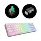 Dark Project KD68B Transparent White, Pudding, Teal Switch, US kaina ir informacija | Klaviatūros | pigu.lt