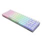 Dark Project KD68B Transparent White, Pudding, Teal Switch, US kaina ir informacija | Klaviatūros | pigu.lt