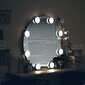 Makiažo veidrodis Holly (D=70 cm) kaina ir informacija | Veidrodžiai | pigu.lt