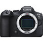 Canon EOS R6 Mark II цена и информация | Skaitmeniniai fotoaparatai | pigu.lt
