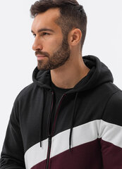 Vyriškas džemperis su gobtuvu Ombre B1419 kaina ir informacija | Džemperiai vyrams | pigu.lt