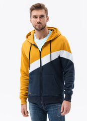 Vyriškas džemperis su gobtuvu B1419 kaina ir informacija | Džemperiai vyrams | pigu.lt