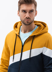 Vyriškas džemperis su gobtuvu B1419 kaina ir informacija | Džemperiai vyrams | pigu.lt