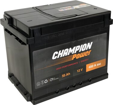 Akumuliatorius Champion Power 55AH 450A kaina ir informacija | Akumuliatoriai | pigu.lt
