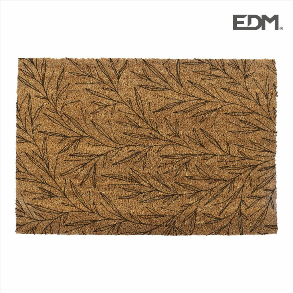 Durų kilimėlis EDM Pluošta 60 x 40 cm kaina ir informacija | Durų kilimėliai | pigu.lt