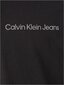 Megztinis vyrams Calvin Klein Jeans цена и информация | Megztiniai vyrams | pigu.lt