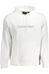 Джемпер для мужчин Calvin Klein, белый цена и информация | Мужские толстовки | pigu.lt