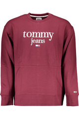 Tommy Hilfiger vyriškas džemperis kaina ir informacija | Džemperiai vyrams | pigu.lt
