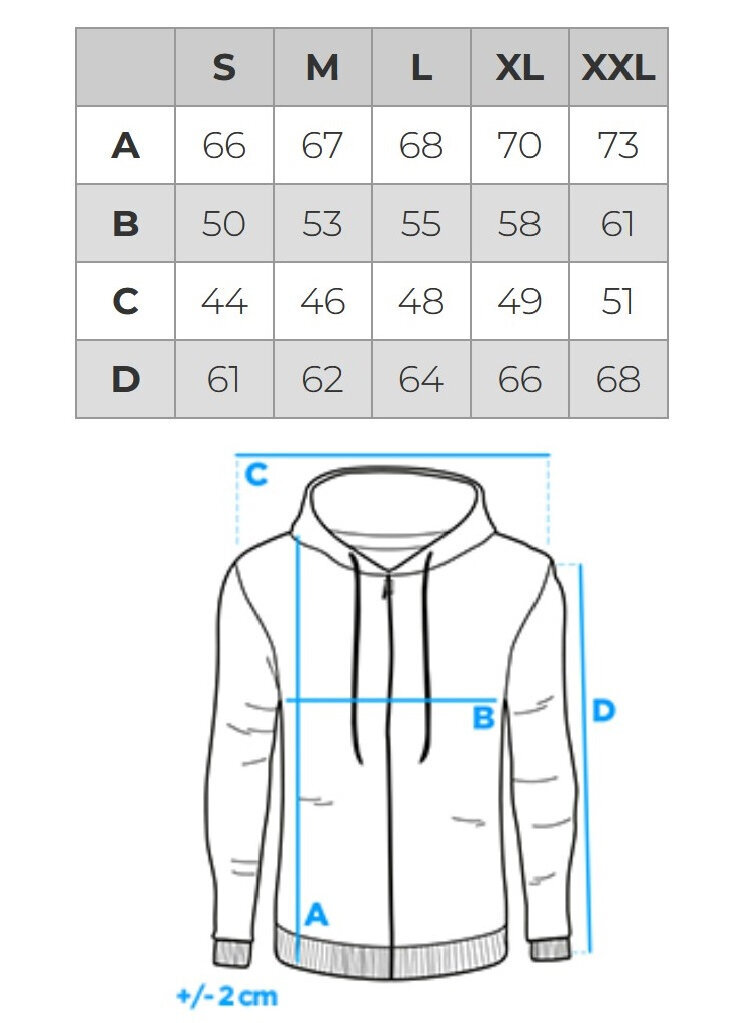 Vyriški džemperis su spauda Ombre B1280, pilkas цена и информация | Džemperiai vyrams | pigu.lt