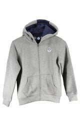 Džemperis berniukams North Sails, pilkas kaina ir informacija | Megztiniai, bluzonai, švarkai berniukams | pigu.lt
