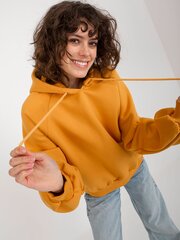 Džemperis moterims, geltonas kaina ir informacija | Džemperiai moterims | pigu.lt
