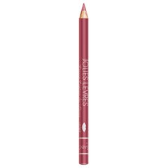 Vivienne Sabo Карандаш для губ Lip Pencil Jolies Lèvres, 1,4 g, 107 · Warm pink цена и информация | Помады, бальзамы, блеск для губ | pigu.lt