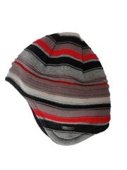 Žieminė kepurė berniukams, Maximo цена и информация | Шапки, перчатки, шарфы для мальчиков | pigu.lt