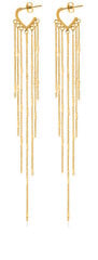 Романтические позолоченные длинные серьги Troli VAAXF547G sTO3841 цена и информация | Серьги | pigu.lt