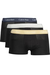 CALVIN KLEIN НИЖНЕЕ БЕЛЬЕ 0000U2664G цена и информация | Мужские трусы | pigu.lt