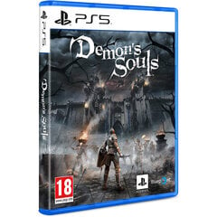 Компьютерная игра «Demon’s Souls», PlayStation 5 цена и информация | Компьютерные игры | pigu.lt