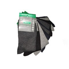 Vyriškos medvilninės kojinės, 10 porų kaina ir informacija | Vyriškos kojinės | pigu.lt