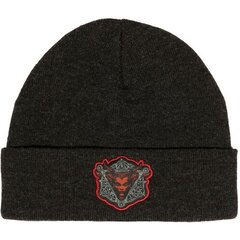 Jinx Diablo IV Daughter of Hatred Beanie Charcoal Heather цена и информация | Атрибутика для игроков | pigu.lt