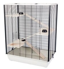 Клетка для грызунов Inter-Zoo Diego + Wood, 78 см цена и информация | Клетки и аксессуары для грызунов | pigu.lt