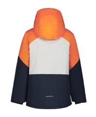 Детская куртка Icepeak 180g Lucka 50029-2*460, оранжевая/светло-серая, 6438535279945 цена и информация | Куртка для мальчика | pigu.lt
