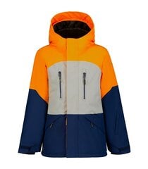 Детская куртка Icepeak 180g Lucka 50029-2*460, оранжевая/светло-серая, 6438535279945 цена и информация | Куртки для мальчиков | pigu.lt