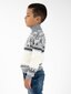 Megztinis berniukams Kimko цена и информация | Megztiniai, bluzonai, švarkai berniukams | pigu.lt