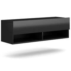 ТВ столик Hakano Regnum, черный цвет цена и информация | Тумбы под телевизор | pigu.lt