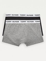 Трусы для мальчика TOMMY HILFIGER Tommy 85 Logo, 2 шт. цена и информация | Нижнее белье для мальчиков | pigu.lt