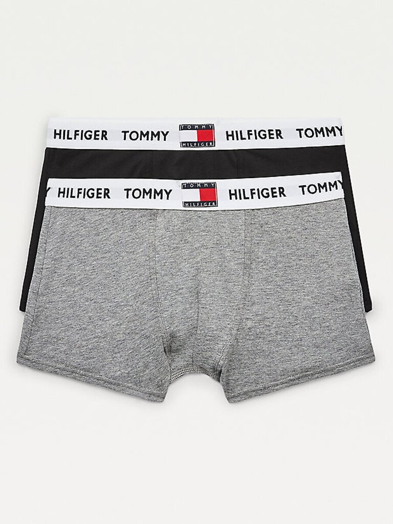 Trumpikės berniukams Tommy Hilfiger Tommy 85 Logo 2Pck, pilkos kaina ir informacija | Apatiniai drabužiai berniukams | pigu.lt