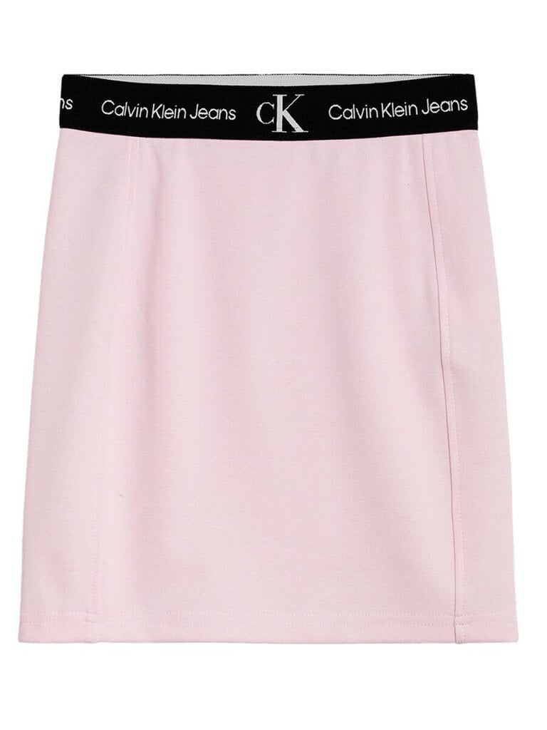 Sijonas moterims Calvin Klein, rožinės spalvos цена и информация | Sijonai | pigu.lt