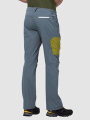 Мужские спортивные брюки JACK WOLFSKIN Overland M, серые цена и информация | Мужская спортивная одежда | pigu.lt