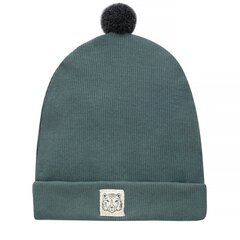 шапка зима 2022 зеленая цена и информация | Шапки, перчатки, шарфы для мальчиков | pigu.lt