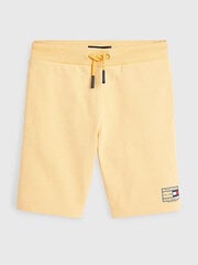 Брюки для мальчиков TOMMY HILFIGER Natural Dye, желтые цена и информация | Спортивные штаны для мальчиков | pigu.lt