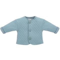 Bliuzonas berniukams Pinokio, mėlynas kaina ir informacija | Megztiniai, bluzonai, švarkai kūdikiams | pigu.lt