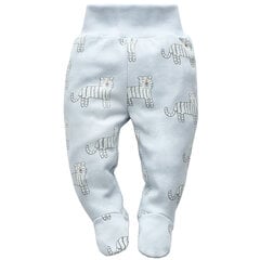 Штаны для младенцев 1-02-2203-18-104 цена и информация | Детские брюки 62 см, черные | pigu.lt
