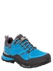 Мужские кроссовки JACK WOLFSKIN Force Striker Texapore Low, синие цена и информация | Мужские кроссовки | pigu.lt