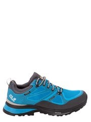 Мужские кроссовки JACK WOLFSKIN Force Striker Texapore Low, синие цена и информация | Мужские кроссовки | pigu.lt