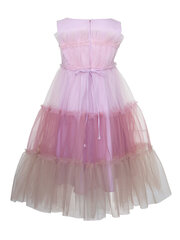 Детское платье SLY Tulle Multicolor Pink цена и информация | Платья для девочек | pigu.lt