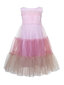 Suknelė mergaitėms Sly Tulle Multicolor Pink, rožinė kaina ir informacija | Suknelės mergaitėms | pigu.lt