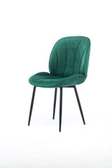 Набор из 2 обеденных стульев Element Amy, зеленый цена и информация | Стулья для кухни и столовой | pigu.lt