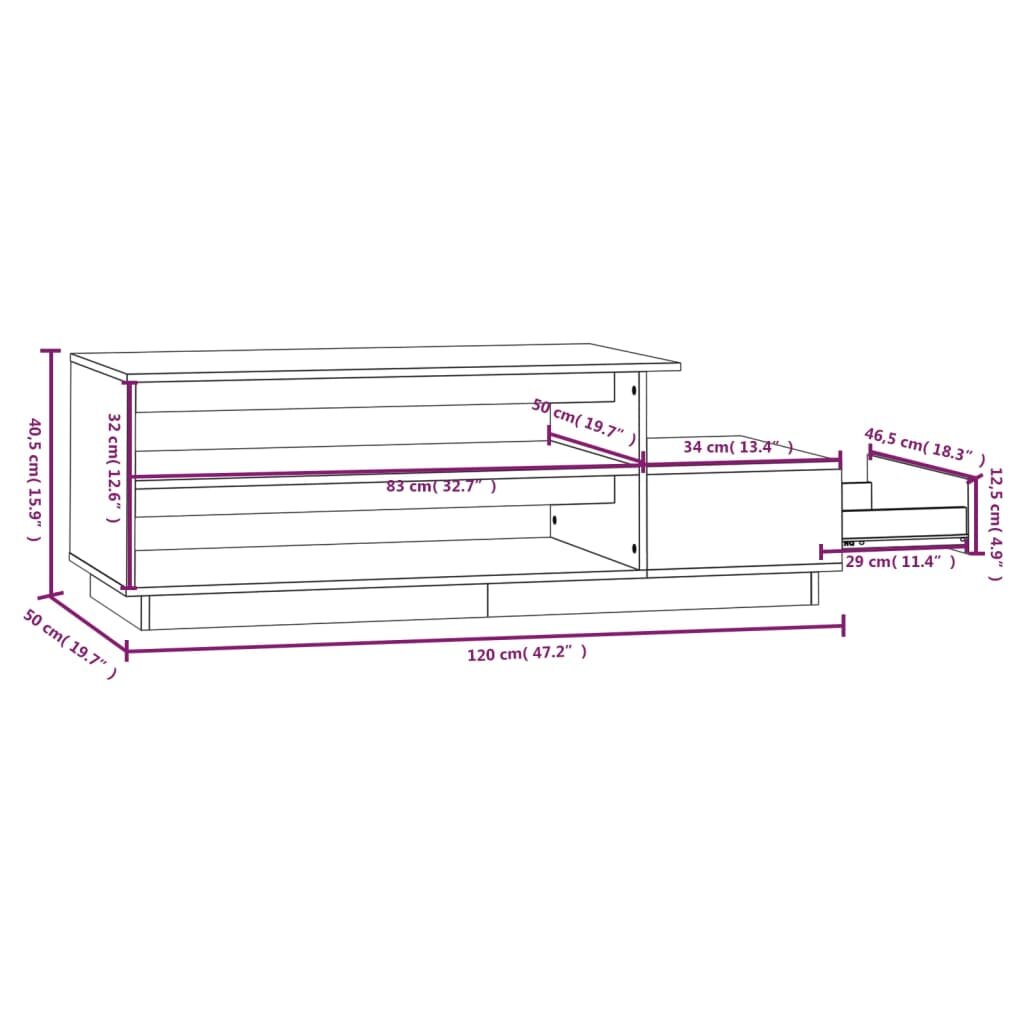 Kavos staliukas, baltas, 120x50x40,5cm kaina ir informacija | Kavos staliukai | pigu.lt